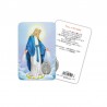 Madonna miracolosa - Immagine religiosa plastificata (card) con medaglietta