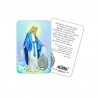 Madonna miracolosa - Immagine religiosa plastificata (card) con medaglietta