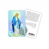 Madonna miracolosa - Immagine religiosa plastificata (card) con medaglietta